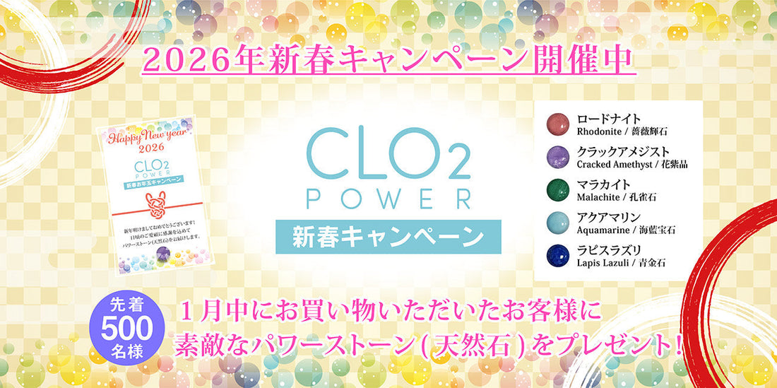 明けましておめでとうございます！【新春キャンペーン開催中】