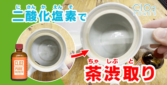 二酸化塩素で茶渋取り！